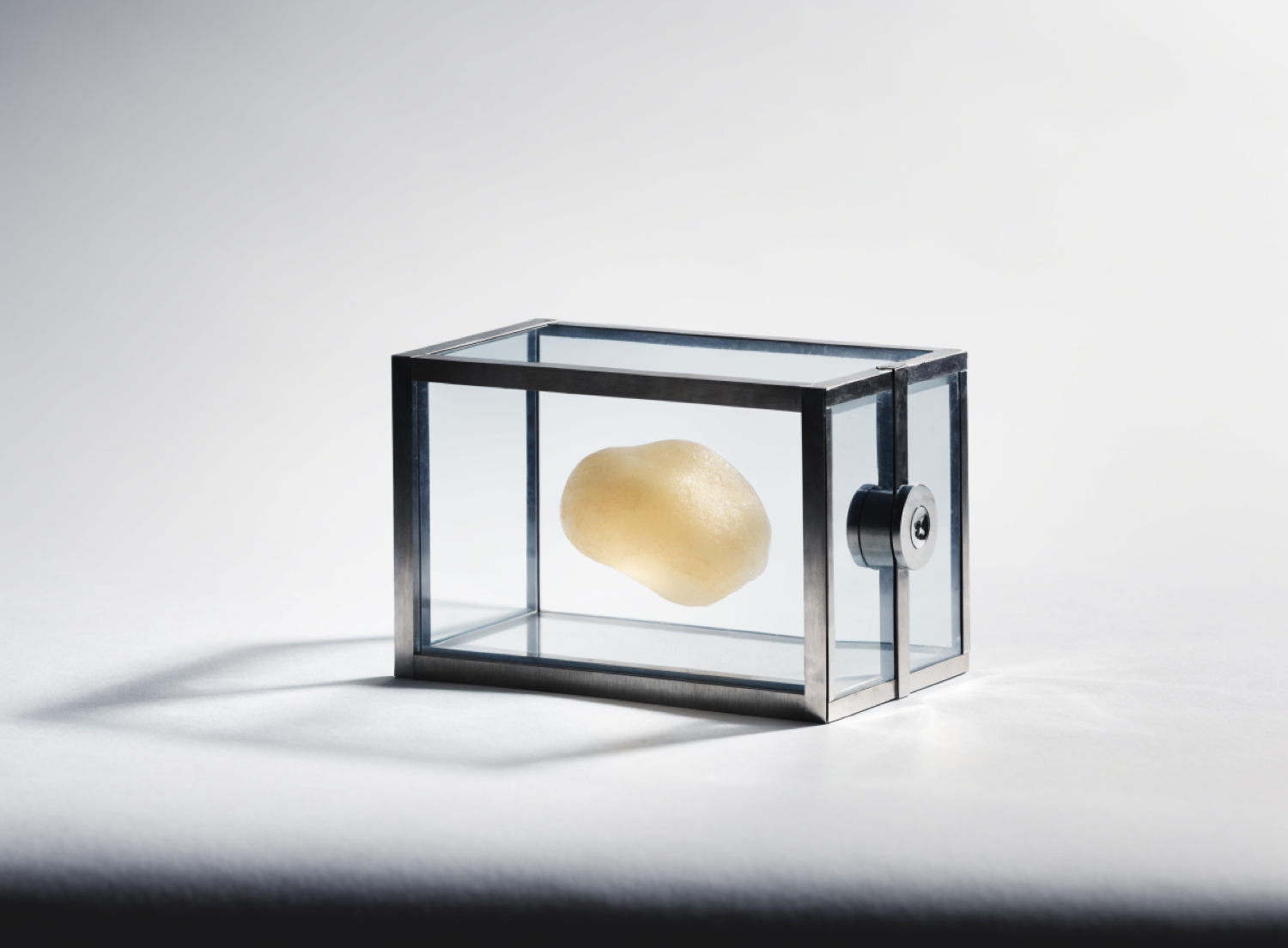 A sealed glass vitrine framed in brushed steel and closed with a single machined bolt, holding one softly glowing form safely inside.
